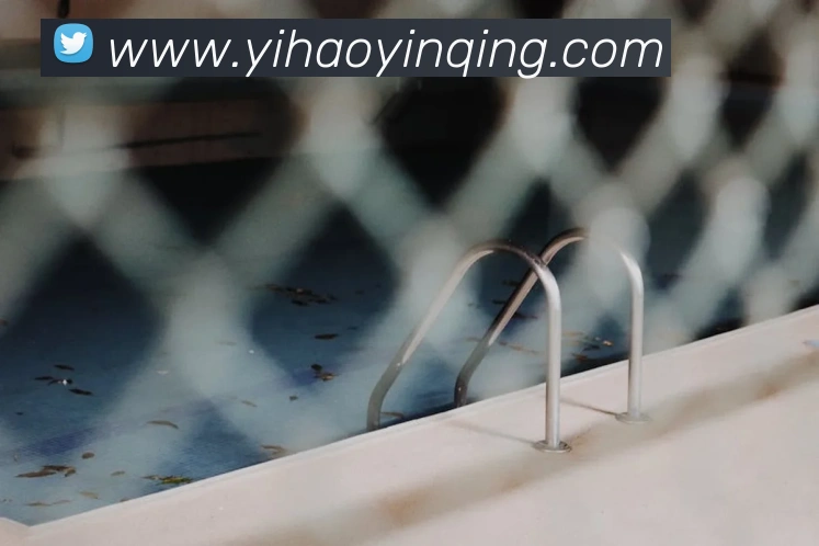 壹号娱乐APP 封面图